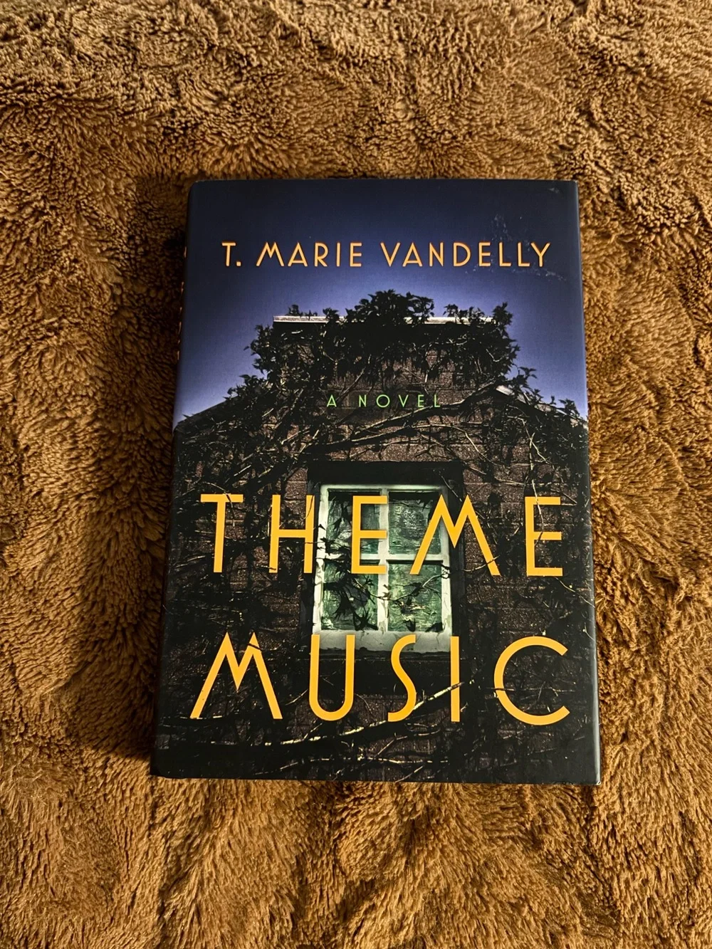 Theme Music by T. Marie Vandelly Hardcover Book